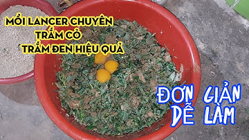 CÁCH LÀM MỒI LANCER CÂU TRẮM CỎ , TRĂM ĐEN ĐƠN GIẢN HIỆU QUẢ 😁😁😁