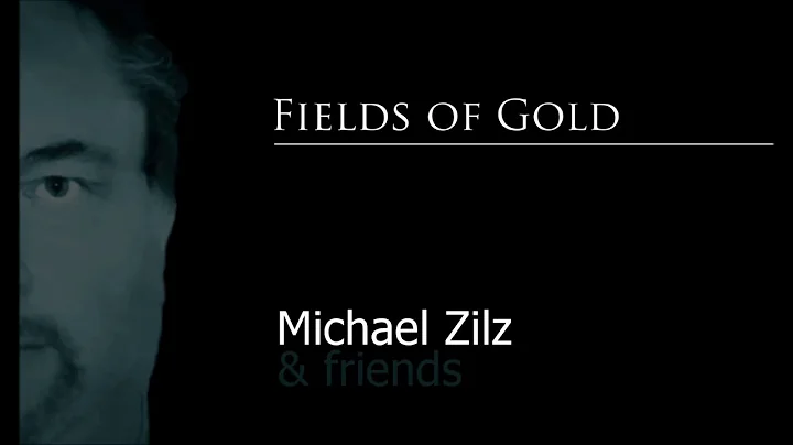 Michael Zilz & friends plays "Fields of Gold"