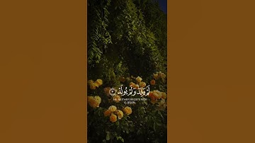 سورة الإخلاص بصوت هادئ 💞