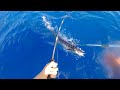 Gros Wahoo au jig !!  /Pêche sur DCP/ St Barth  - MF#12