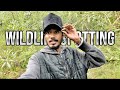 Wildlife spotting 🐅 || forest 🦁 || Chikkamagaluru #forest