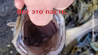 видео: Сходная рыбалка в Норвегии картинка: Сходная рыбалка в Норвегии