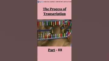 The process of Transcription #biology #ifas #molecular_biology