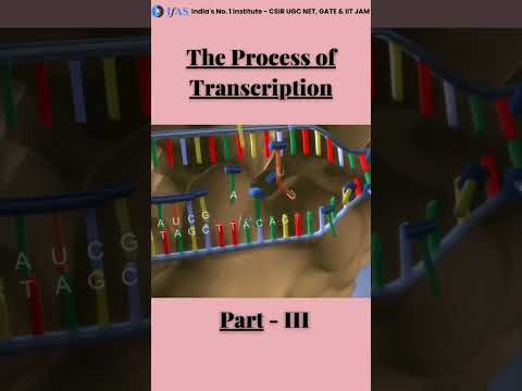 Video: Wat is replikasie en transkripsie?