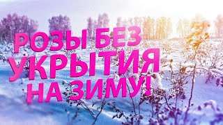 :      ?