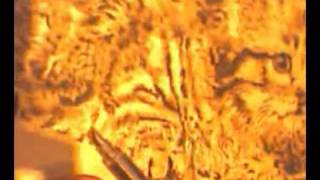 Capture 20090106