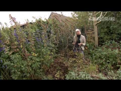 Video: Tuinonderhoud In De Herfst