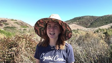 Module 3 Explore Video 2