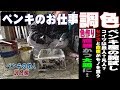 塗装のお仕事【色合せ、色作り】現役ペンキ職人による調色！鉄人は本当に鉄人なのか？ただの凡人だった？ｗｗ