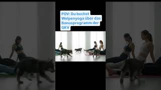 Sieht so das Welpenyoga des Bonusprogramms deiner Krankenkasse aus?