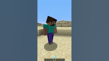 Types of Minecraft Worlds