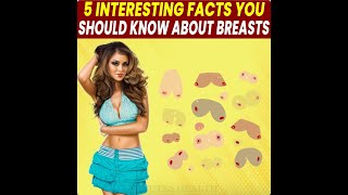 5 Interesting Facts You Should Know About Breasts