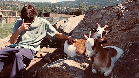 Fitzy - stack stack stack (Official Video)