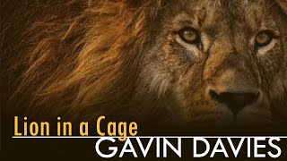 Gavin Davies - Lion in a Cage