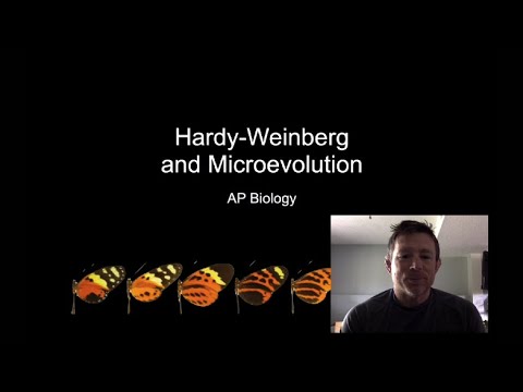 Hardy Weinberg and Microevolution - YouTube