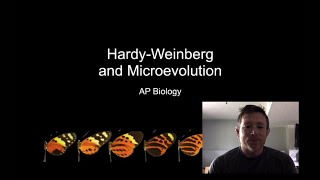 Hardy Weinberg and Microevolution