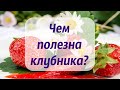 Чем полезна клубника? / ПОЛЬЗА КЛУБНИКИ для организма