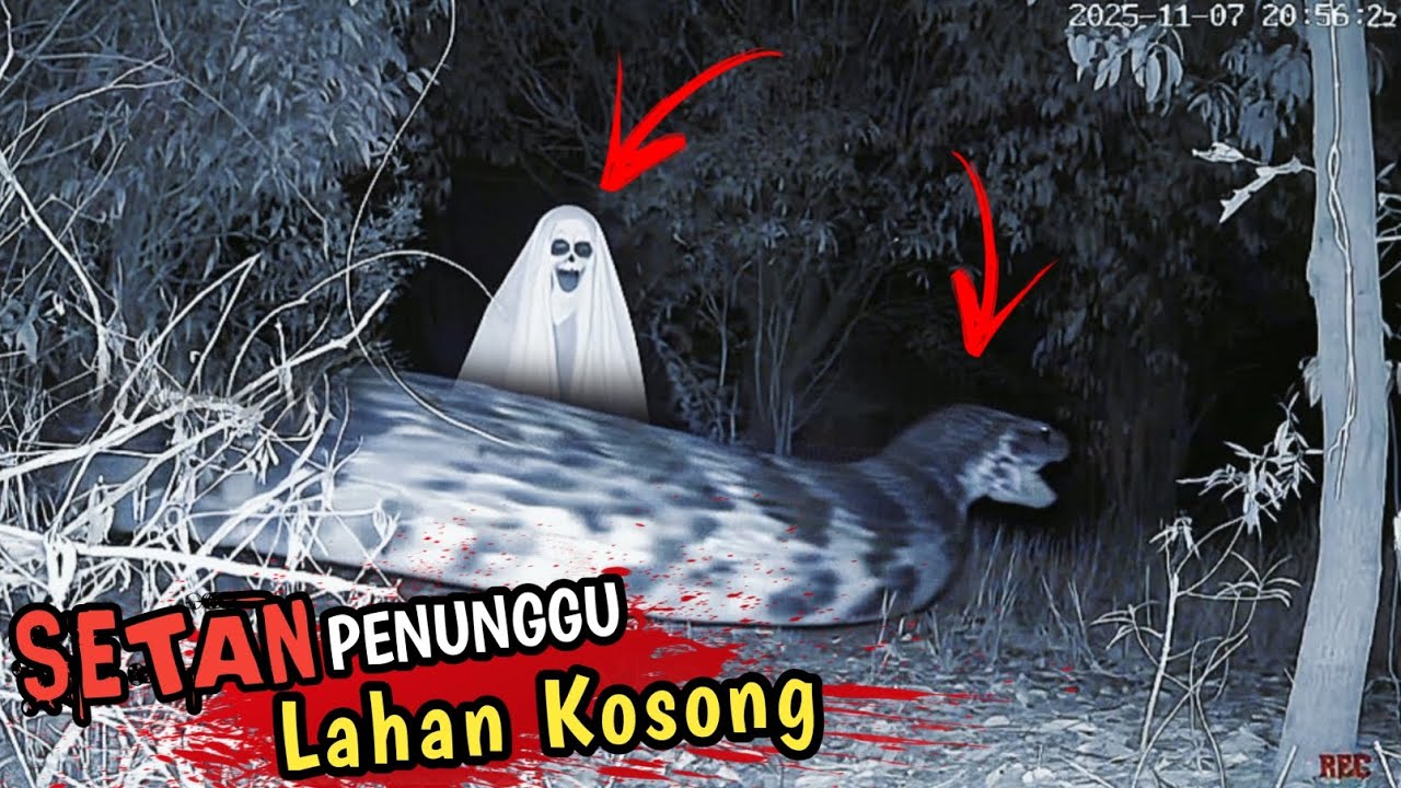 Di kasih tanah cuma-cuma pun tidak ada yg mau, ternyata tanah ini banyak setannya‼️