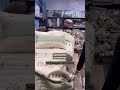 Perfect Gift | Bilberry Home And Hangers | Shakurpur | Delhi