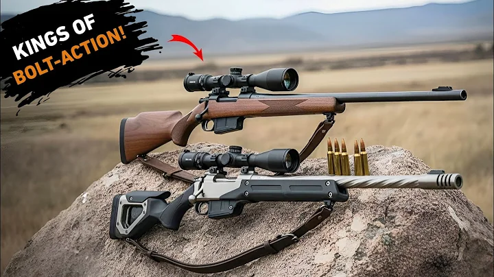 Top 10 Greatest Bolt Action Rifles Ever Made!
