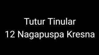 Episode 341 Tutur Tinular - 12 Nagapuspa Kresna