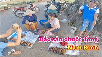 Về Nam Định bắt chuột đồng và ghé thăm ngôi làng nghiện thịt chuột | Xế Tuyển