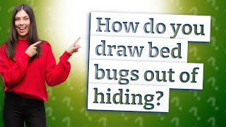 How do you draw bed bugs out of hiding?