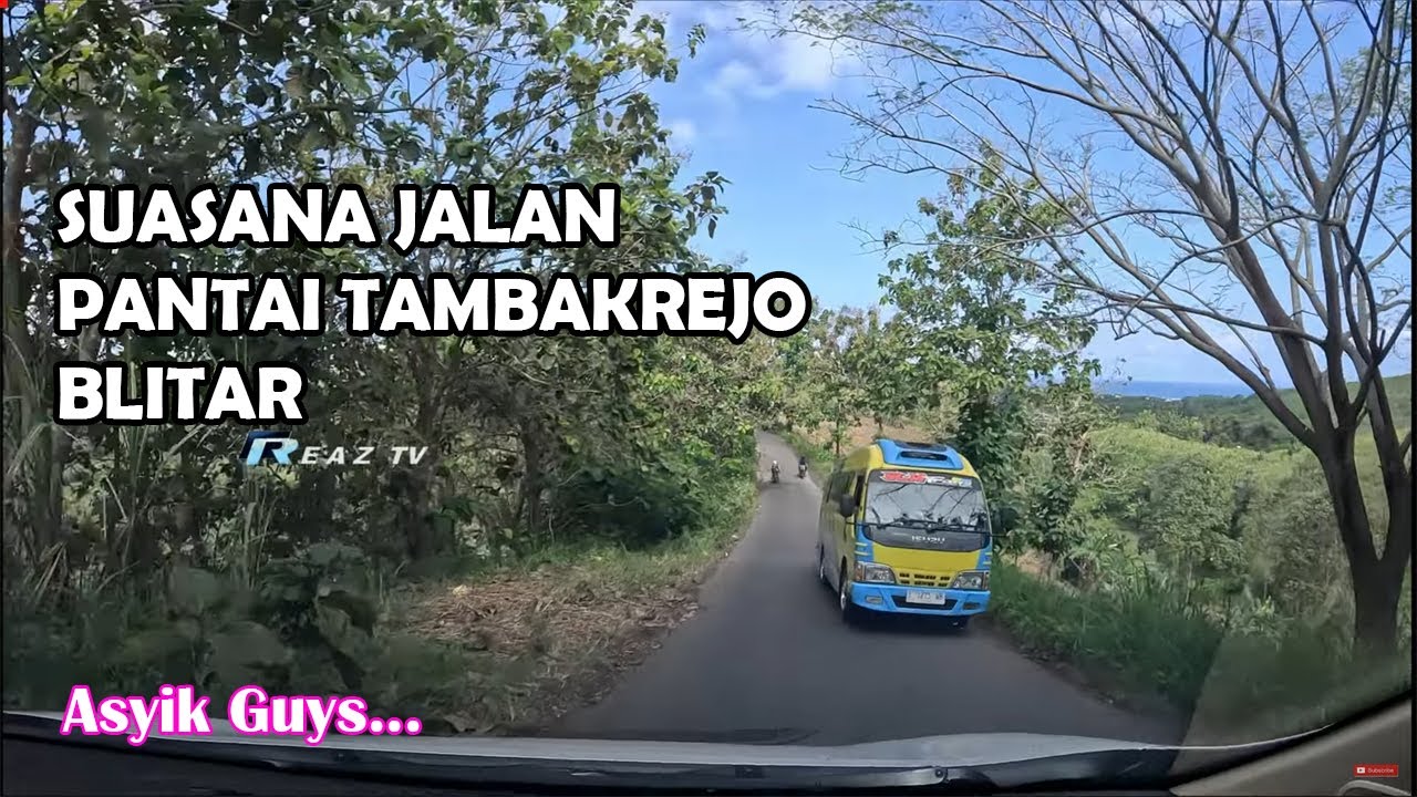 suasana jalan ke pantai tambakrejo dari blitar
