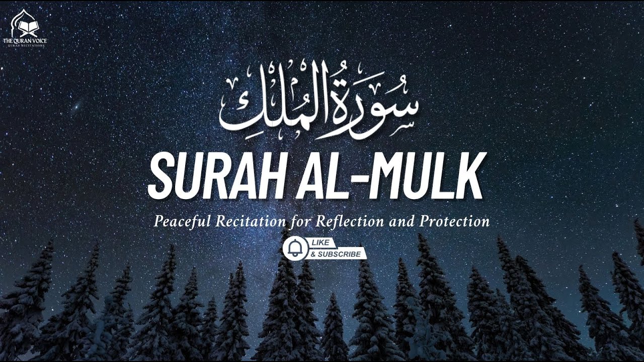Surah Al-Mulk | Peaceful Recitation for Reflection and Protection | The Quran Voice