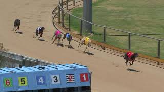 Gawler-16122019-Race-10