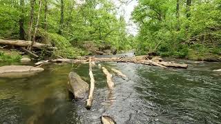 Relax on the Rappahannock ~ 7 Minutes of Rushing Water and Bird Sounds