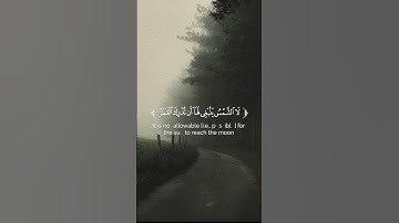 و آية لهم الليل نسلخ منه النهار..سورة يس القارئ عبد الله القرني.. تلاوة هادئة