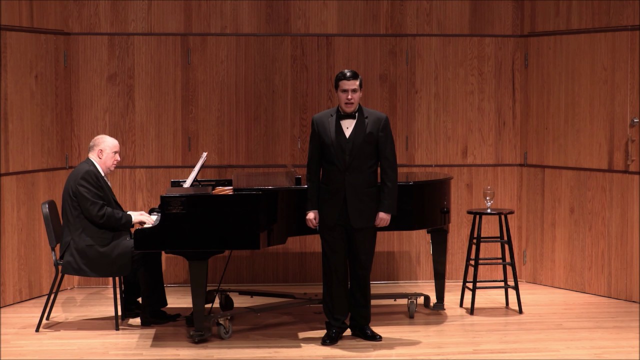 See My many Colored Fields