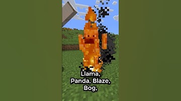 Every Mob in Minecraft in 60 Seconds!