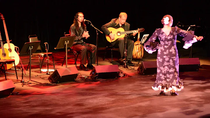 Norma Pacheco O'Nell Mio Flamenco