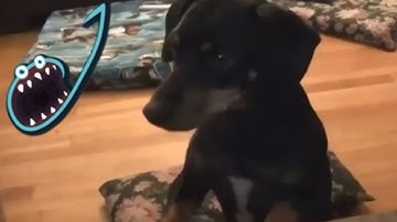 Jerma Streams - Random PSVR Games (Part 4)