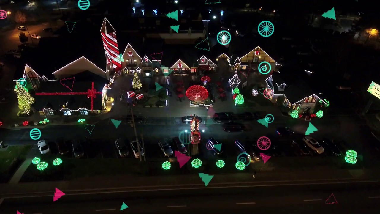 Pigeon Christmas YouTube