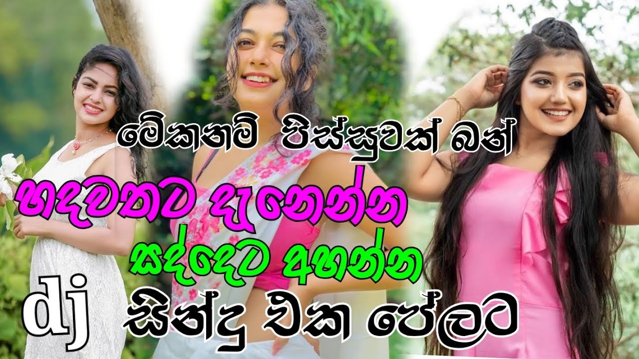 @හදවතට දැනෙන්න සදදෙට අහන dj, සින්දු එක  පෙලට#trending #vairalvideo 