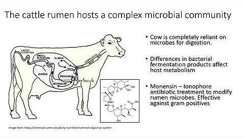Identifying and linking antimicrobial resistance genes in metagenomes with new DNA.