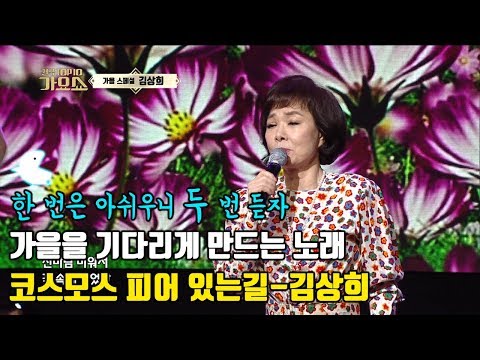 [코스모스 피어있는 길 김상희] 가을을 기다리게 만드는 노래~!