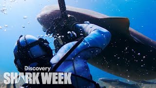 Shark Steals Camera from Diver | Shark Week