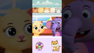 Cute Kitty Cat Song #shorts #nurseryrhymes #kidssongs #kenttheelephant