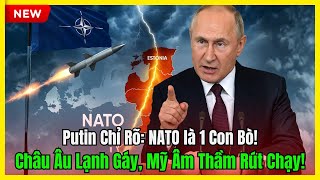 Putin Chỉ Rõ: NATO Là Những Con Bò Sữa – Châu Âu Lạnh Gáy, Mỹ Âm Thầm Rút Lui