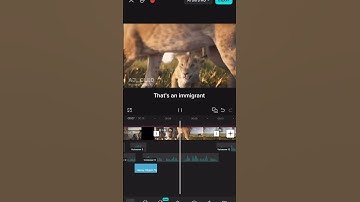 Mufasa Voice Over 🌚 #voiceacting #cringe #edit #capcut