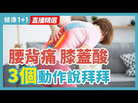 腰背痛 膝盖酸 3个动作说拜拜