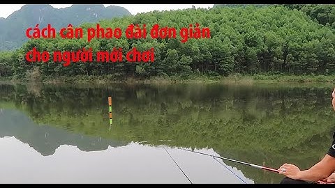 Cách cân phao Đài đơn giản cho người mới chơi