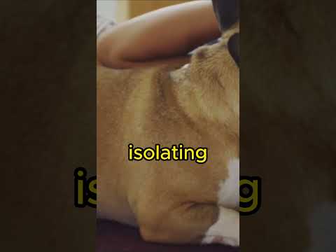 NEGLECTING NEEDS OF