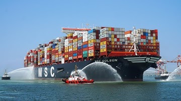 Con Tàu Container Lớn Nhất Thế Giới 2025  MSC Gulsun – Đỉnh Cao Công Nghệ Tàu
