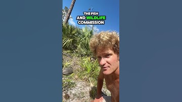 Why aren’t Gopher #Tortoises protected against housing as they are from being poked? #florida