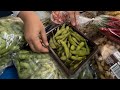 KACANG JEPANG BUAT DI INDO | SUAMI ISTRI BIKIN PERKEBUNAN
